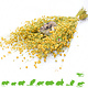 Knaagdier Kruidenier Linseed Flax Harvest for Rodents & Birds