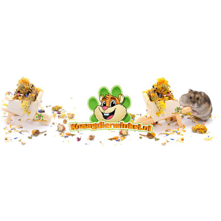 Knaagdierwinkel® Taczka drewniana dekoracyjna Hamsterscaping 11 cm