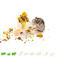 Knaagdierwinkel® Brouette en bois décorative pour hamsters, 11 cm