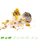 Knaagdierwinkel® Drewniana taczka Hamsterscaping Deco 11 cm