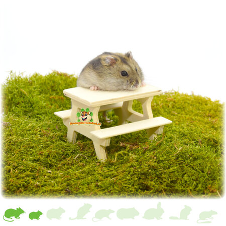 Knaagdierwinkel® Mesa de picnic de madera Hamsterscaping 8 cm