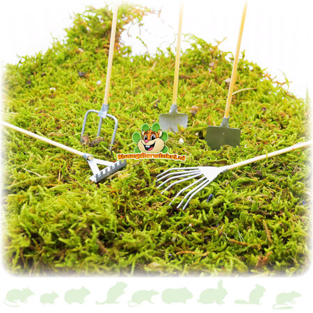 Knaagdierwinkel® Herramientas para el jardín de hámsters