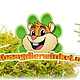 Knaagdierwinkel® Gereedschap voor de Hamsterscaping Tuin