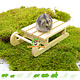 Knaagdierwinkel® Hamsterscaping Déco Méga Traîneau 19,5 cm