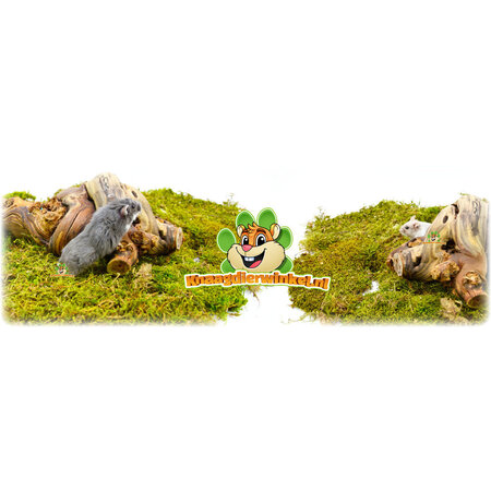 Trixie Vid tratada con chorro de arena