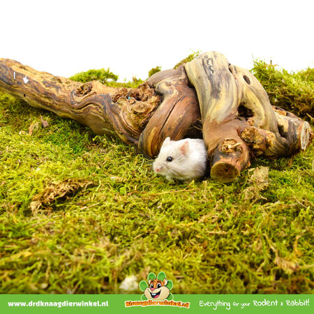 Trixie Vigne sablée