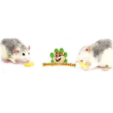 JR Farm Chips de plátano