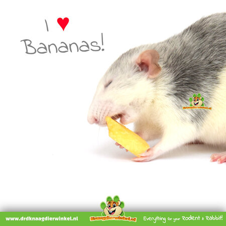 Knaagdierwinkel® Plasterki banana dla gryzoni