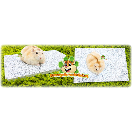 Elmato Granit rafraîchissant pour rongeurs et lapins !