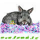 Chipsi Carefresh Confetti Paper Bedding for Rodents and Rabbits