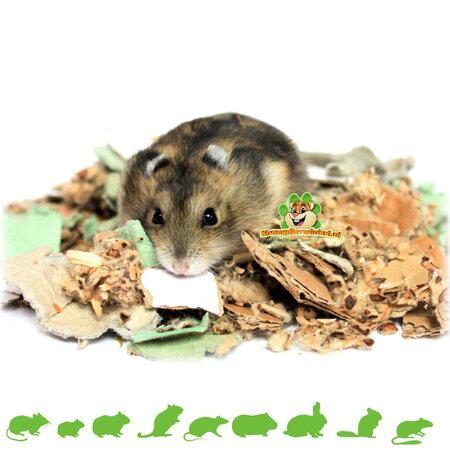 The Natural Pet Brand Baumwoll- und Karton-Bodenabdeckung