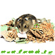 The Natural Pet Brand Baumwoll- und Karton-Bodenabdeckung