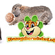 Trixie Natural Living Willow Ball for Rodents & Rabbits