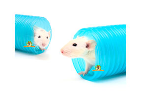 Tunnels et tubes pour rats