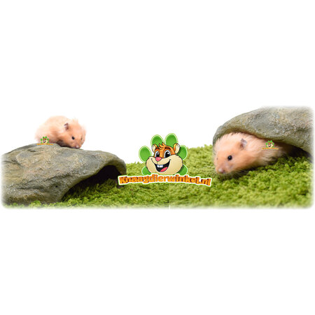 Trixie Rock Shelter 24 cm