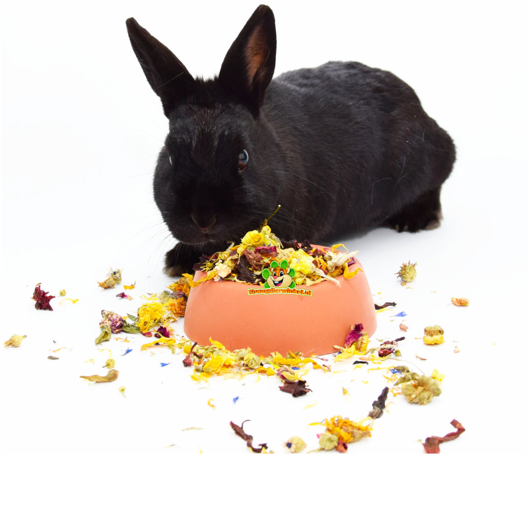 Herbes pour lapins | herbes de lapin fraîches mais aussi herbes de lapin séchées