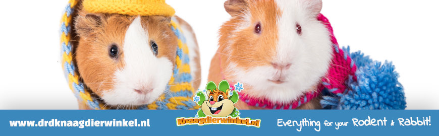 10 ways to keep your small pets snug and warm in winter. – Excel Runaround:  Rabbit and Guinea Pig Runs