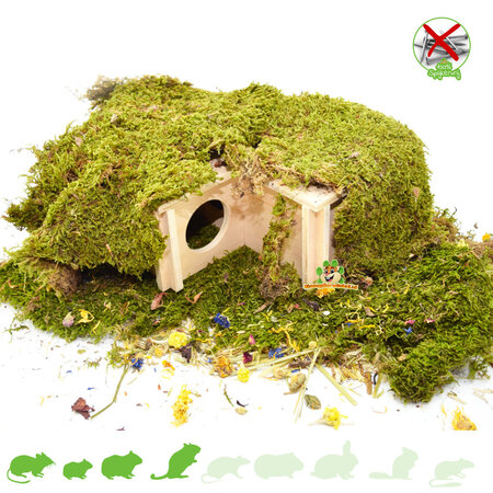 Maison d'angle bungalow à plusieurs chambres de 24 cm pour souris, hamster nain et gerbille