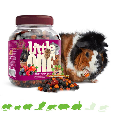 Mealberry Little One Berry Mix for Rodents and Rabbits!