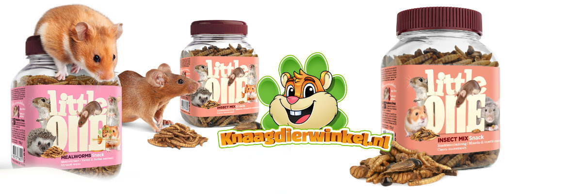 Mealberry Little One Insectenmix 75 gram - Muizen snack, Dwerghamster snack, Hamster snack, Gerbil snack, Ratten snack - Eiwitrijke Snack voor Knaagdieren