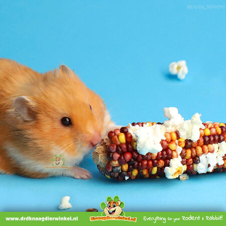 Mealberry Little One Mini Maïskolven Mix