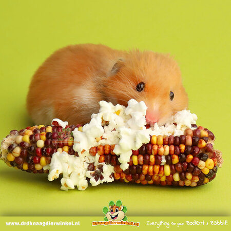 Mealberry Mieszanka kukurydzy w kolbach Little One Mini