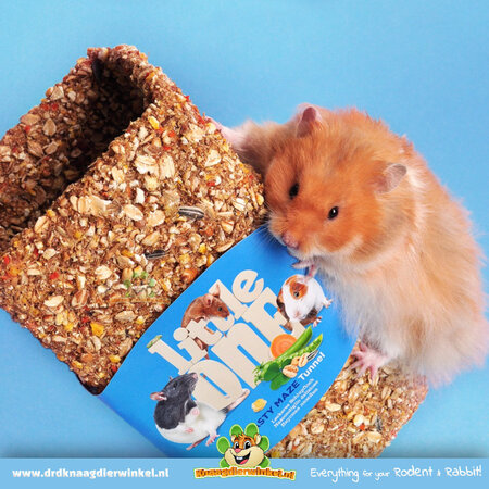 Mealberry Little One Tasty Maze Tunnel voor Knaagdieren en Konijnen