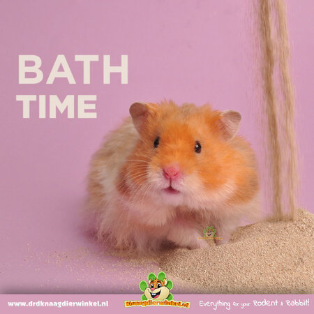 Mealberry Little One Chinchilla Bath Sand for Hamsters, Gerbils, Chinchillas and Degus