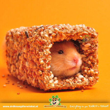 Mealberry Little One Tasty Maze Tunnel voor Knaagdieren en Konijnen