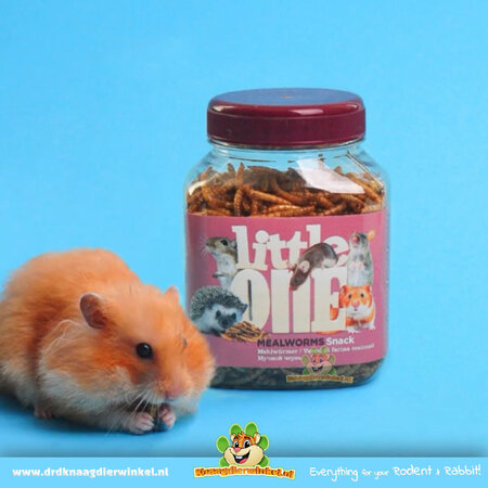 Mealberry Gedroogde Meelwormen 70 gram