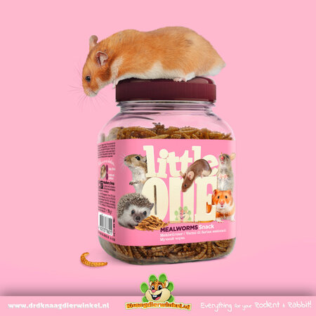 Mealberry Little One Getrocknete Mehlwürmer für kleine Nagetiere und Vögel