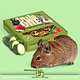 Mealberry Little One Grain-free Vegetable Pizza for rodents and rabbits!