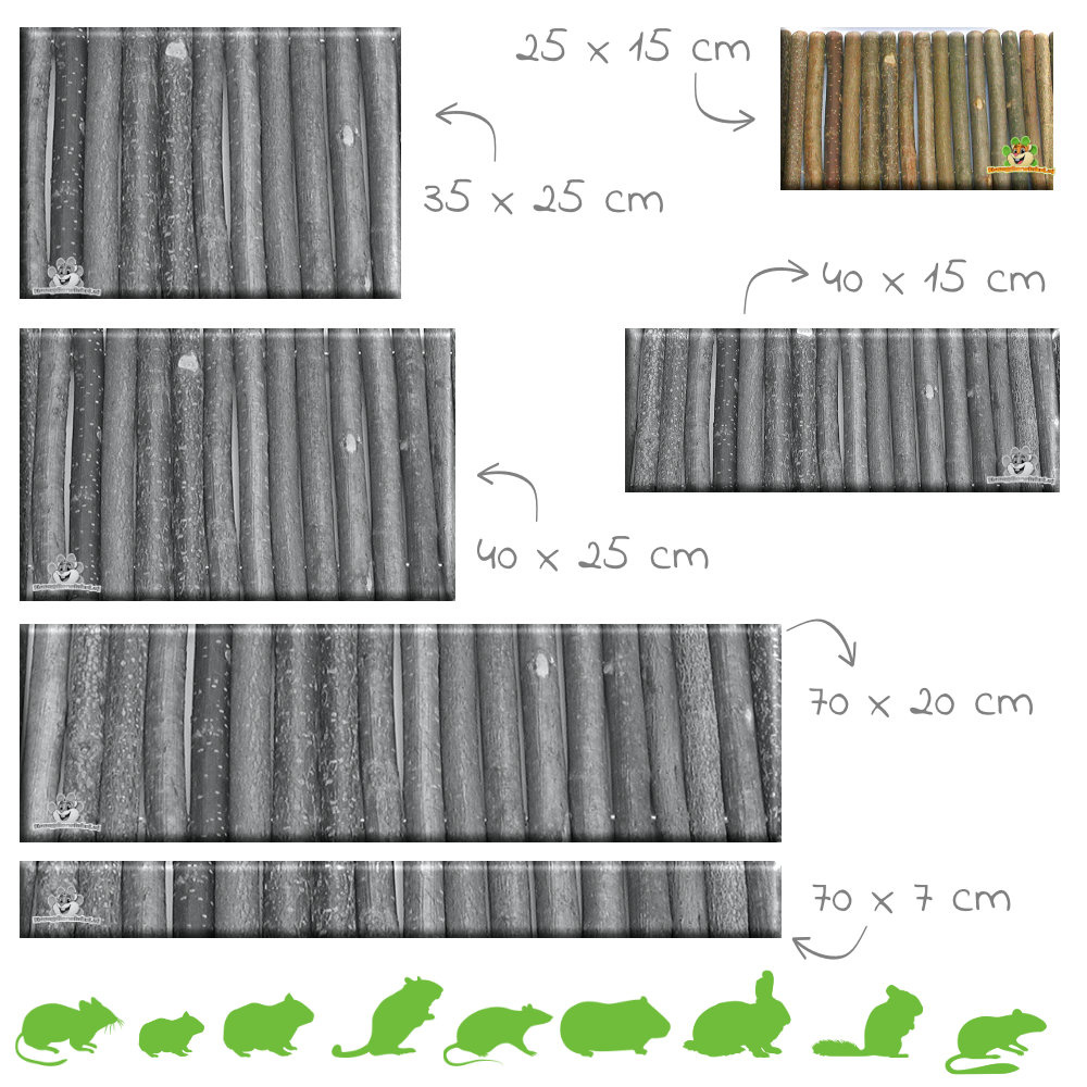 Naturaleza del Puente del Sauce