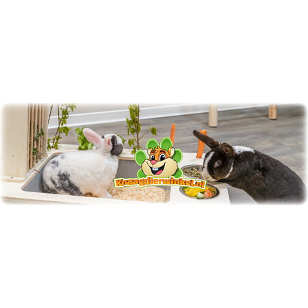 Trixie Station d'alimentation pour cobayes et lapins 70 cm
