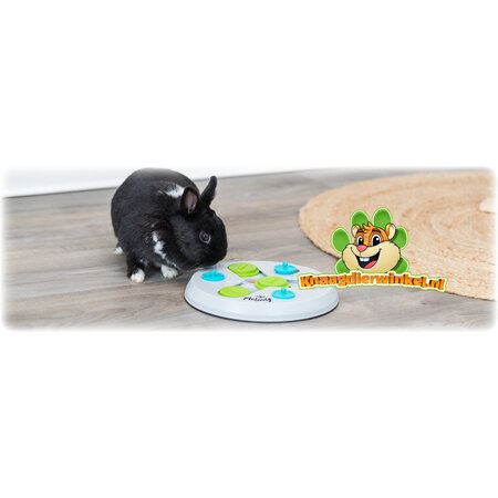 Trixie Strategy Game Slide & Fun Foraging Toys
