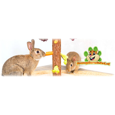 Trixie Árbol de alimentación de 36 cm para roedores y conejos