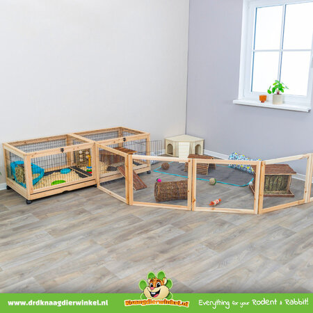 Trixie Carreras en pista cubierta