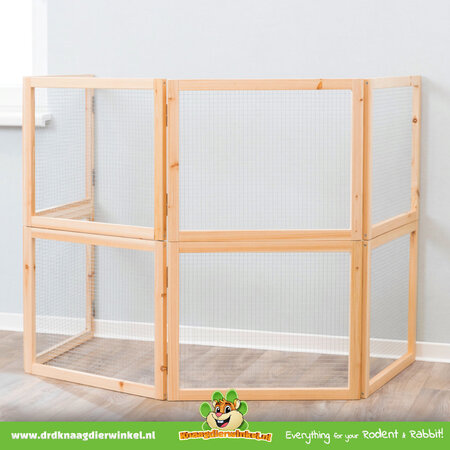 Trixie Indoor Racing