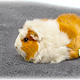 Bunny Nature ¡Bañera para conejos Easy Plasmat de 112 cm para roedores y conejos!