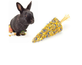 Friandises aux herbes pour lapins