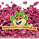 Knaagdier Kruidenier Dried Red Beet 60 grams