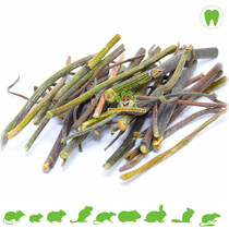 Echinacea Stems