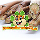 Tiges de framboisiers pour rongeurs et lapins