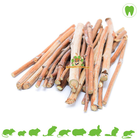 Tiges de framboisiers pour rongeurs et lapins