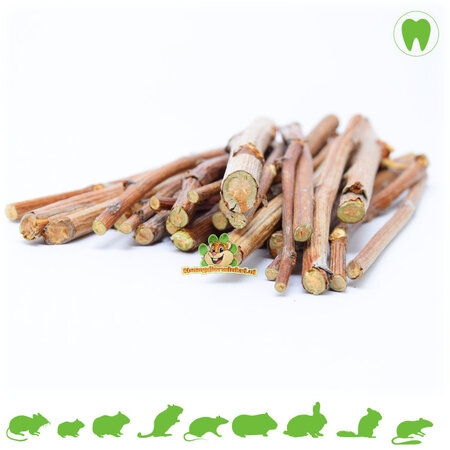 Raspberry stems for rodents and rabbits