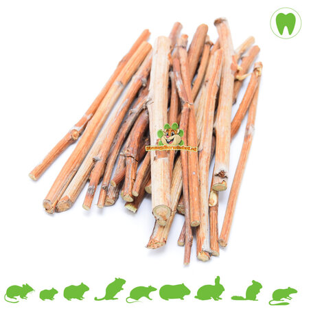 Tiges de framboisiers pour rongeurs et lapins