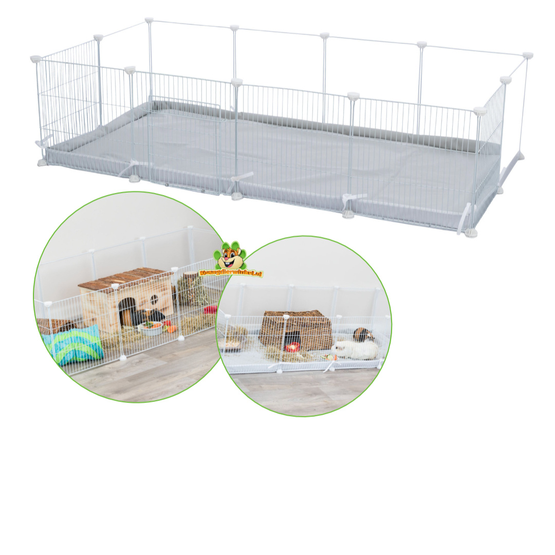 Cavia rennen en verblijven – buiten of tijdelijk in de tuin