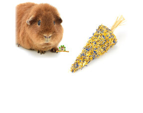 Guinea Pig Herbal Snacks