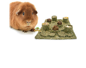 Guinea Pig Herbal Toys