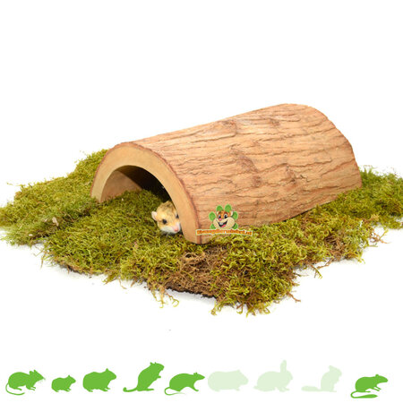 Tunnel en écorce d'arbre pour les rongeurs !